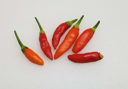 Tabasco Chili Sauce: A Comprehensive Overview
